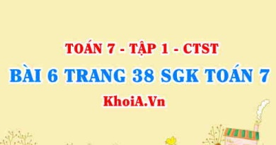 Bài 6 trang 38 SGK Toán 7 chân trời sáng tạo tập 1